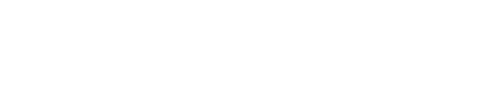 Logo SC System